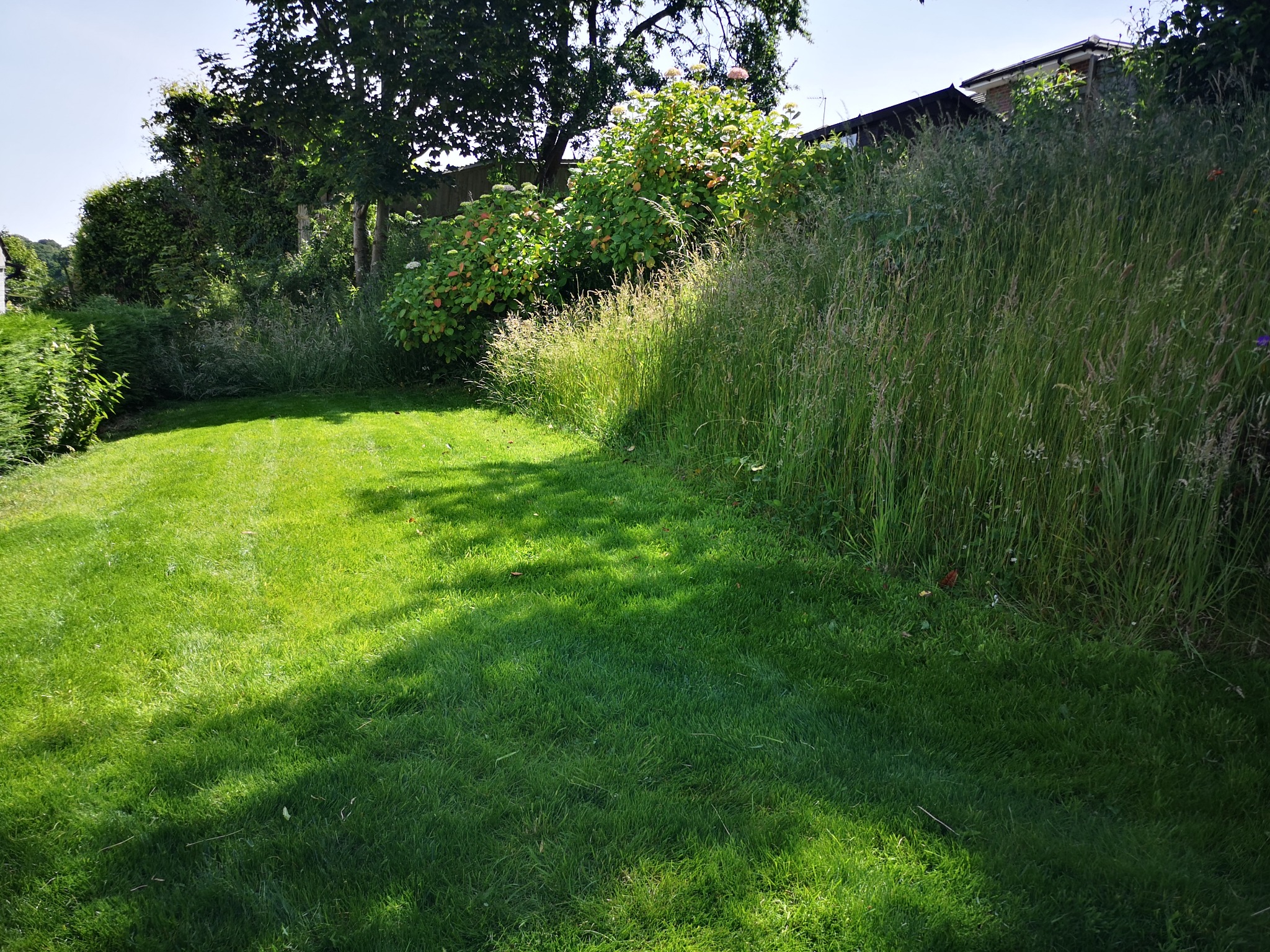 Lawn Re-seeded and Aut Alongside Natural Meadow Area